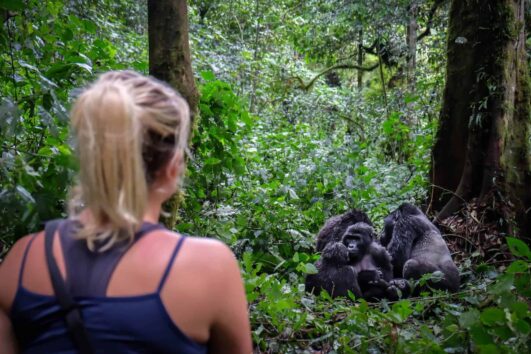 What To Expect On Gorilla Trekking Experience In Uganda And Rwanda