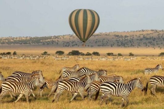 Hot Air Balloon Murchison Falls Uganda Safari